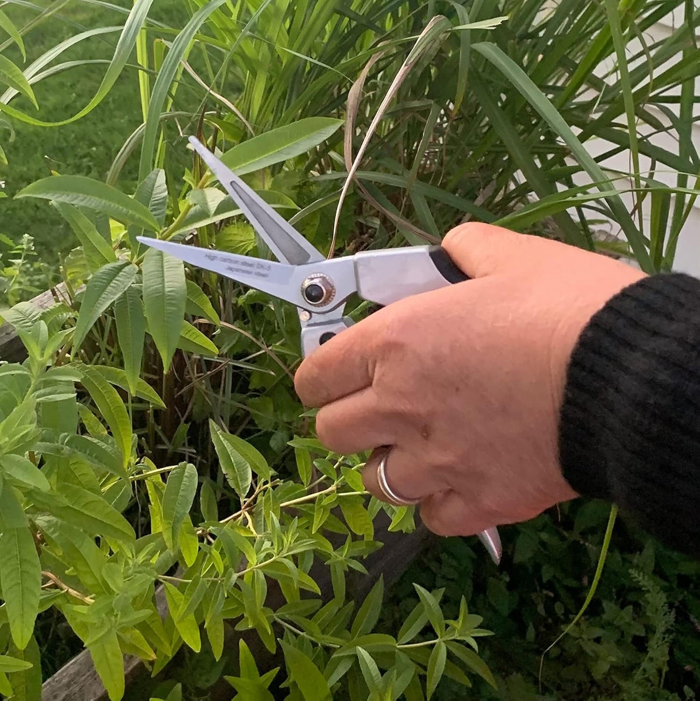 Pruning Shears - Garden Scissors Florist Snips - 2.5” Blades - Flower Scissors for Cutting Fresh Flowers, Trimming, or Harvesting Herbs or Fruit - Pruners for Gardening Tools
