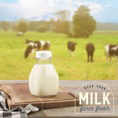 16 oz Glass Milk Bottle with Lid and Pour Spout – Small Glass Creamer Container for Refrigerator – Airtight Pint Milk Bottle for Coffee, Tea, and Liquid Storage