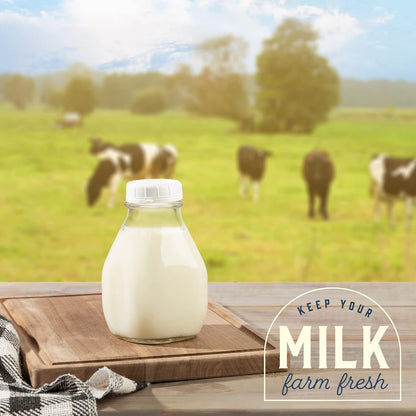 16 oz Glass Milk Bottle with Lid and Pour Spout – Small Glass Creamer Container for Refrigerator – Airtight Pint Milk Bottle for Coffee, Tea, and Liquid Storage