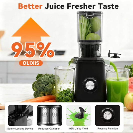 Cold Press Juicer Machines, Masticating Juicer with High Juice Yield, Reverse Function, Stops Oxidation and Easy to Clean for Vegetables & Fruits, Black