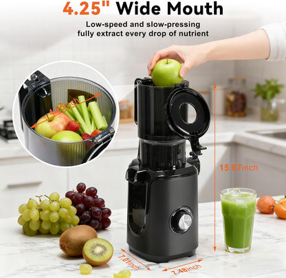 Cold Press Juicer Machines, Masticating Juicer with High Juice Yield, Reverse Function, Stops Oxidation and Easy to Clean for Vegetables & Fruits, Black