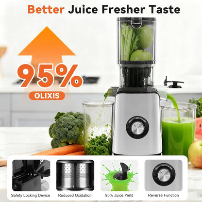 Cold Press Juicer Machines, Masticating Juicer with High Juice Yield, Reverse Function, Stops Oxidation and Easy to Clean for Vegetables & Fruits, Black