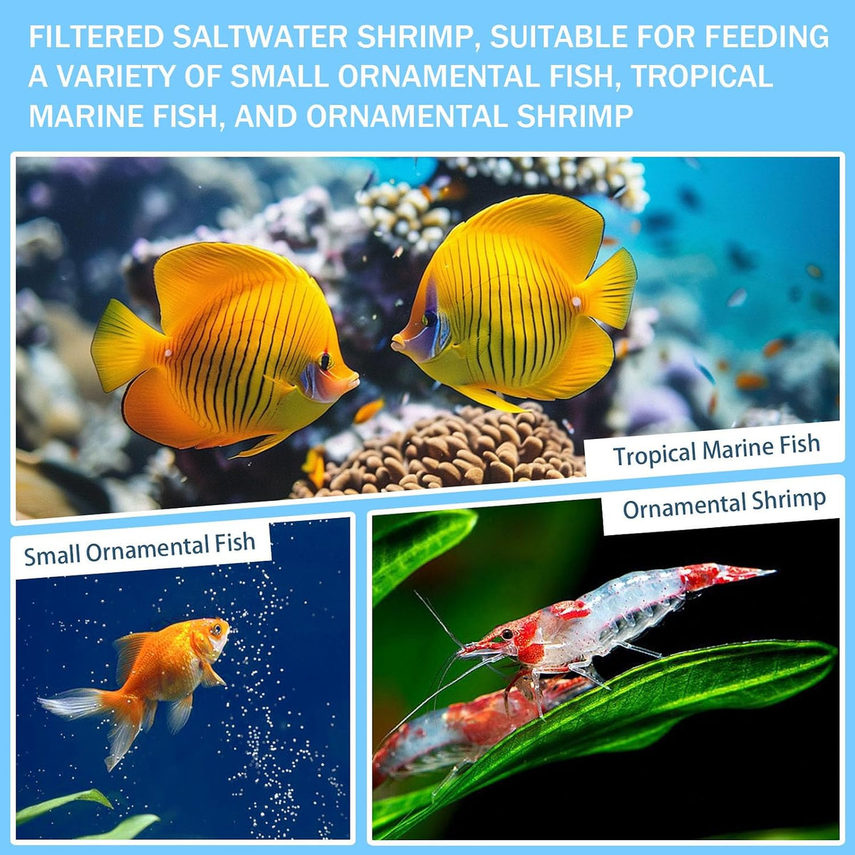 Brine Shrimp Net Sieve 80 & 200 Mesh Kit, Brine Shrimp Hatchery