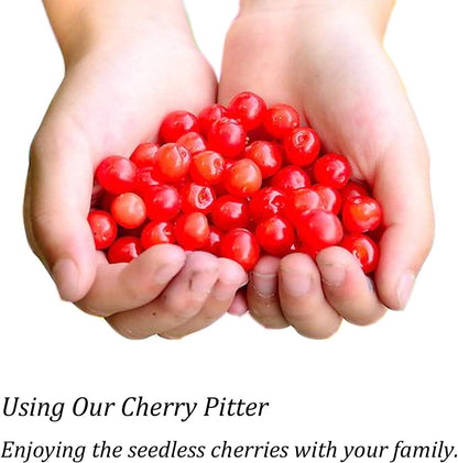 Cherry Pitter, Cherry Olive Seed Remover Tool with Food-Grade Silicone Cup, Heavy-Duty Cherry Stoner/Cherry Core Remover/Oliver Pitter with Space-Saving Lock Design (Black)