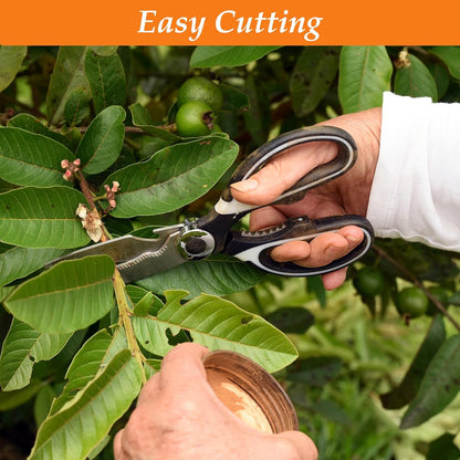 2 Pcs Multifunctional Garden Shears Flower Scissors | Premium Thickened Stainless Steel Gardening Floral Scissors Pruning Shears for Flower Bar Supplies Arrangement, Garden Tools