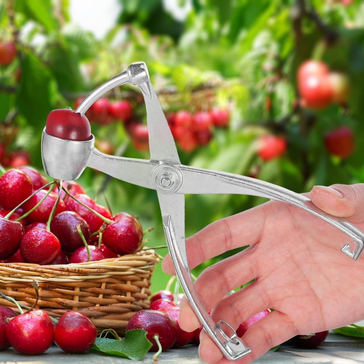Heavy Duty Stainless Steel Cherry Pitter and Olive Remover Tool Compact Wear-Resistant Metal Corer for Household Date and Cherry Pitting Kitchen Gadget for Fruit and Vegetable Core Removal