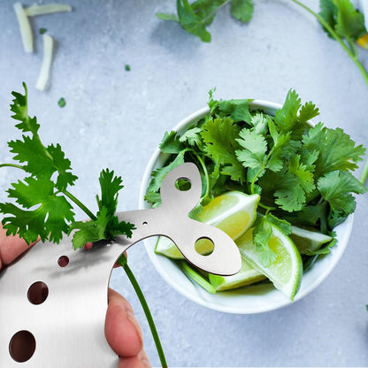 Stainless Steel Herb Stripper Tool, 10 Holes, Kitchen Leaf Remover for Kale, Thyme, Basil, Rosemary and More
