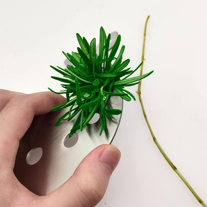 Stainless Steel Herb Stripper Tool, 10 Holes, Kitchen Leaf Remover for Kale, Thyme, Basil, Rosemary and More