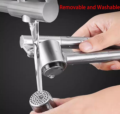 Manual Garlic Press, 165 Grams 304 Stainless Steel Garlic Paste Tools for Crushing Vegetables and Spice (1)
