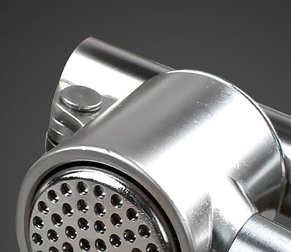 Manual Garlic Press, 165 Grams 304 Stainless Steel Garlic Paste Tools for Crushing Vegetables and Spice (1)