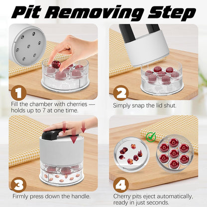 Cherry Pitter Tool, Heavy-Duty Stainless Steel Pitting Tool, Portable Cherries Corer Stoner Seed Tool with Lock Design, Fruit Pit Remover for Cherry Jam(Black)