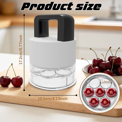 Cherry Pitter Tool, Heavy-Duty Stainless Steel Pitting Tool, Portable Cherries Corer Stoner Seed Tool with Lock Design, Fruit Pit Remover for Cherry Jam(Black)