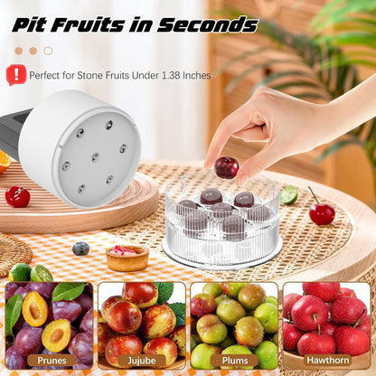 Cherry Pitter Tool, Heavy-Duty Stainless Steel Pitting Tool, Portable Cherries Corer Stoner Seed Tool with Lock Design, Fruit Pit Remover for Cherry Jam(Black)