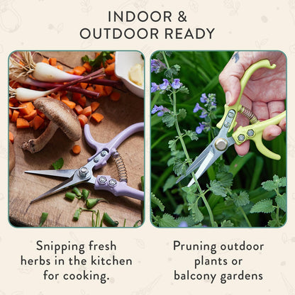 Pruning Shears - Garden Snips - Herb Scissors - Ocean 1-Pack | Lightweight Gardening Tool - Durable Carbon Steel Blade W/Easy-Lock - Gardening Supplies - Flower Cutter - Reusable Holster