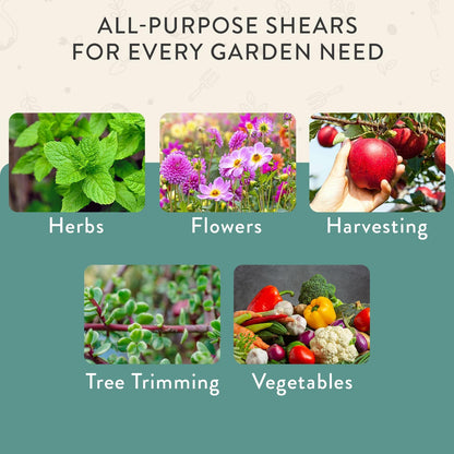 Pruning Shears - Garden Snips - Herb Scissors - Ocean 1-Pack | Lightweight Gardening Tool - Durable Carbon Steel Blade W/Easy-Lock - Gardening Supplies - Flower Cutter - Reusable Holster