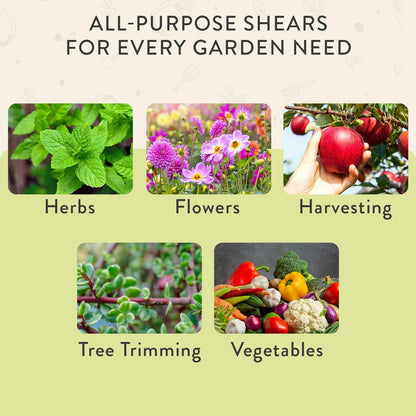 Pruning Shears - Garden Snips - Herb Scissors - Ocean 1-Pack | Lightweight Gardening Tool - Durable Carbon Steel Blade W/Easy-Lock - Gardening Supplies - Flower Cutter - Reusable Holster