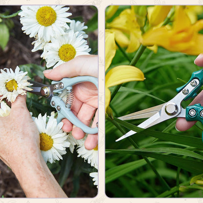 Pruning Shears - Garden Snips - Herb Scissors - Ocean 1-Pack | Lightweight Gardening Tool - Durable Carbon Steel Blade W/Easy-Lock - Gardening Supplies - Flower Cutter - Reusable Holster