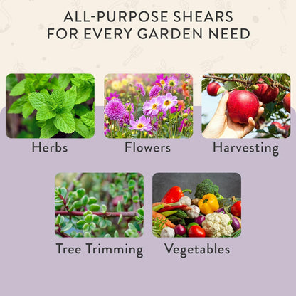 Pruning Shears - Garden Snips - Herb Scissors - Ocean 1-Pack | Lightweight Gardening Tool - Durable Carbon Steel Blade W/Easy-Lock - Gardening Supplies - Flower Cutter - Reusable Holster