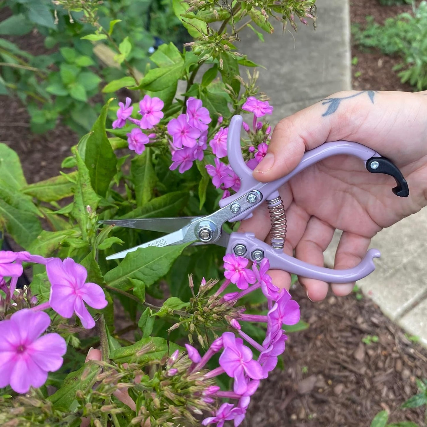 Pruning Shears - Garden Snips - Herb Scissors - Ocean 1-Pack | Lightweight Gardening Tool - Durable Carbon Steel Blade W/Easy-Lock - Gardening Supplies - Flower Cutter - Reusable Holster