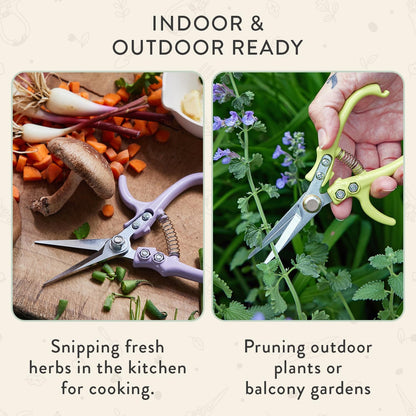 Pruning Shears - Garden Snips - Herb Scissors - Ocean 1-Pack | Lightweight Gardening Tool - Durable Carbon Steel Blade W/Easy-Lock - Gardening Supplies - Flower Cutter - Reusable Holster