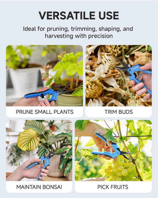 6.5" Precision Pruning Shears for Gardening Bud Trimming Scissors | 1-Pack Garden Snips, Ultra-Sharp Non-Stick Straight Blades, Fatigue-Free - Best for Delicate Cutting Flower Stems Herbs Buds
