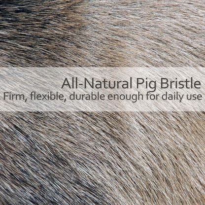 Natural Pig Bristle Pastry Brush with Untreated Beechwood Handle for Basting, Glazing and Applying Eggwash, 7-1/4 inches - Pastry Brush for Cooking and Baking, Made in Germany