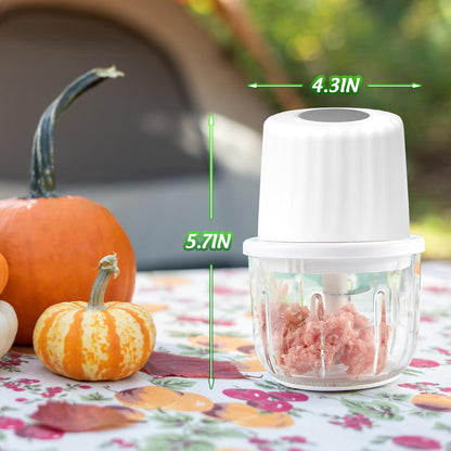 Mini Electric Garlic Chopper 300ML GLASS Food Processor Cordless